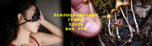 соль курить ск Алексеевка