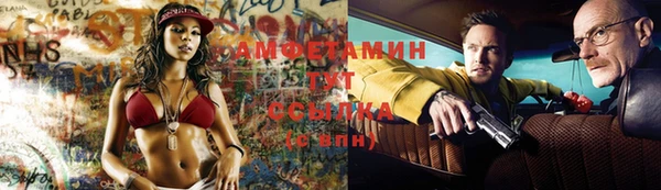 стаф Козельск
