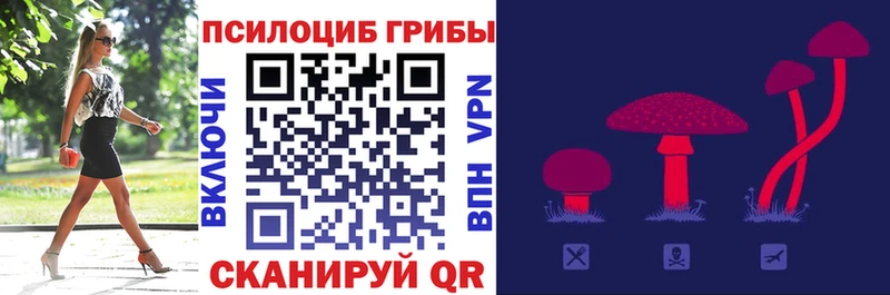 Псилоцибиновые грибы прущие грибы  Яхрома 